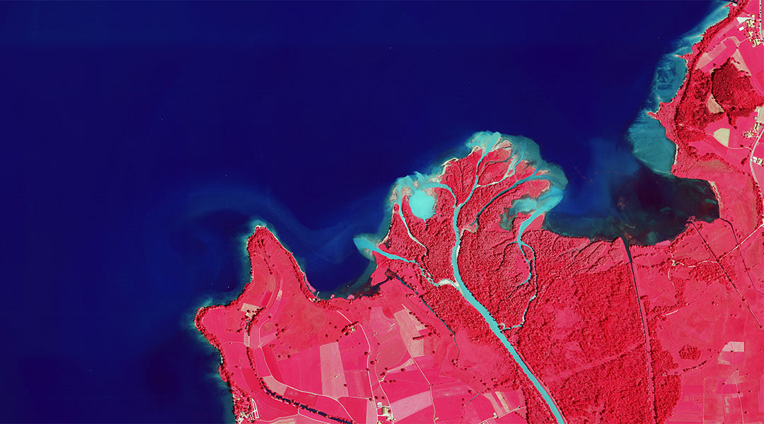 Color-Infrarot Orthophoto zeigt den Zufluss der Tiroler Arche